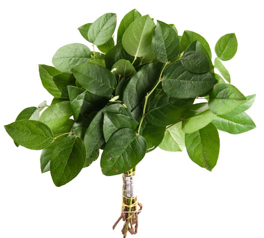 Attached image