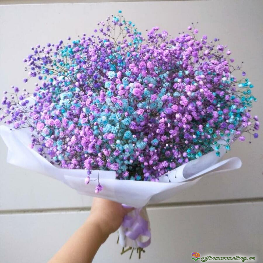 Букет из гипсофилы