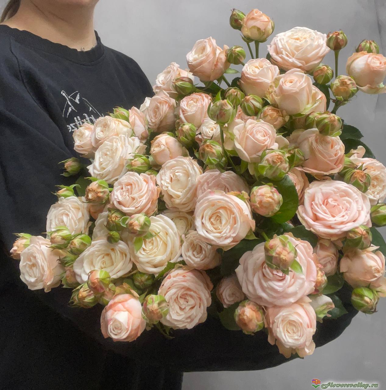 Роза кустовая 