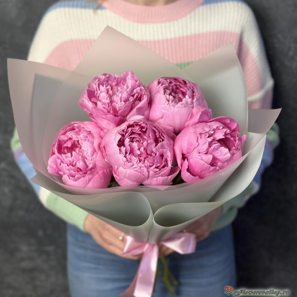 Розовые пионы 5 штук