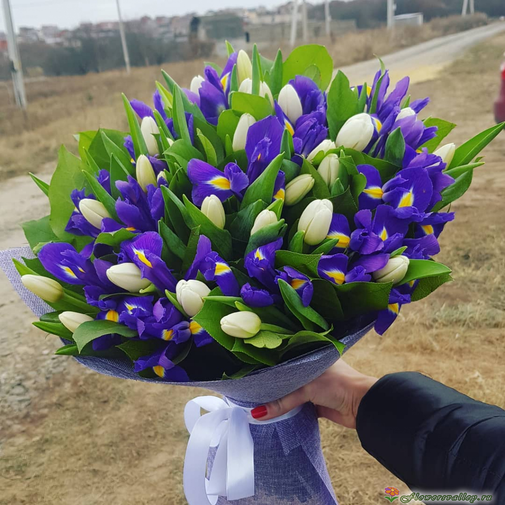 тюльпаны и ирисы