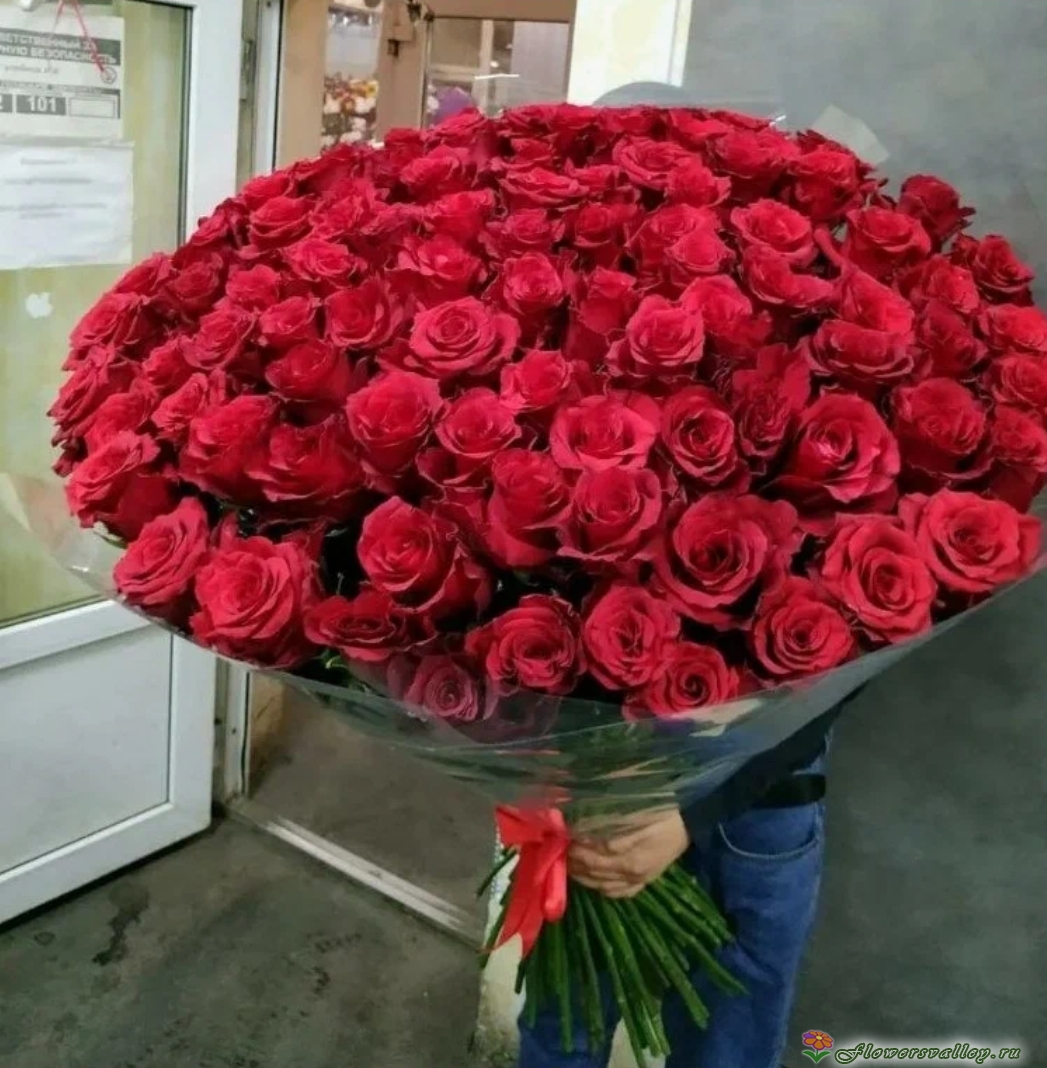 101 красная роза