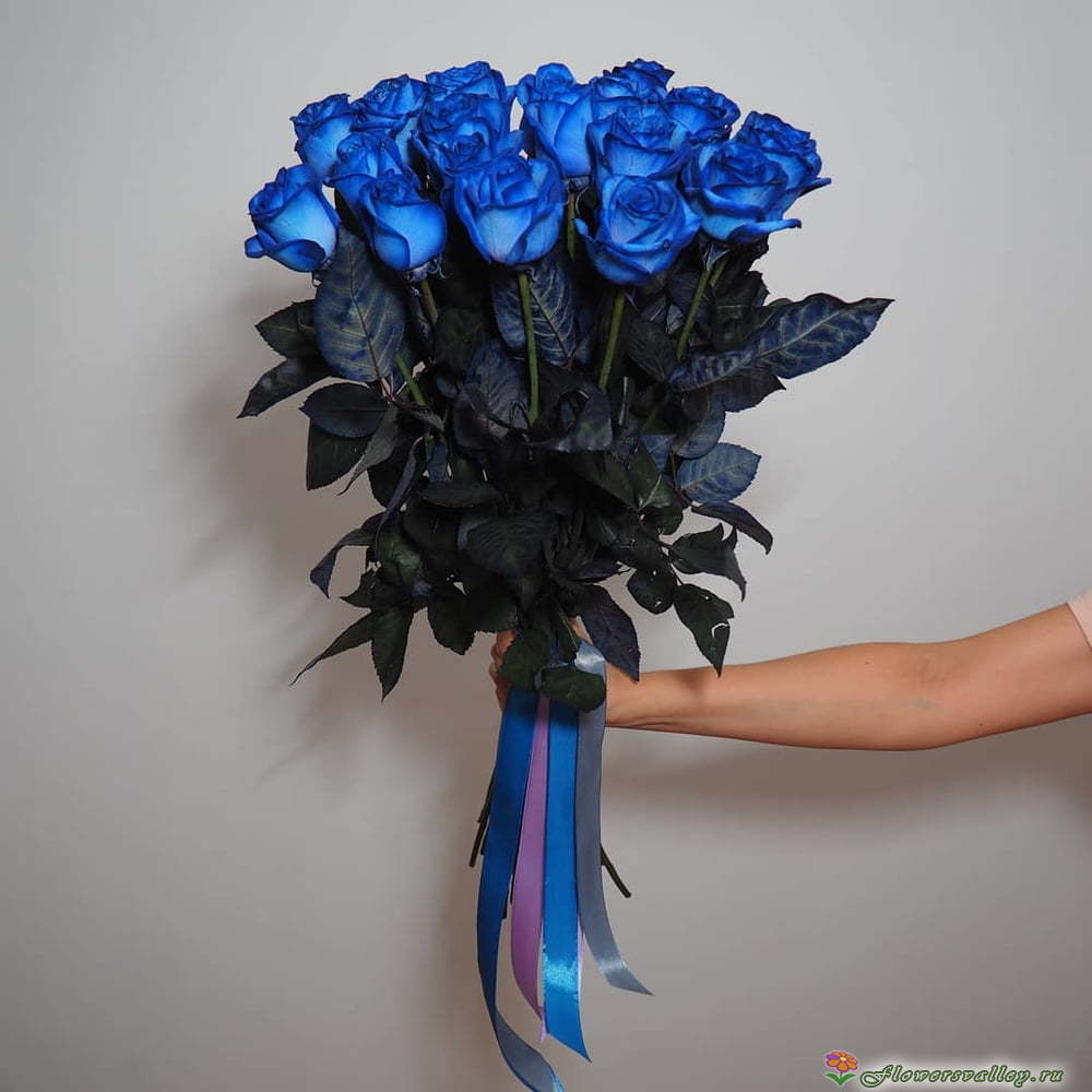 15 синих роз