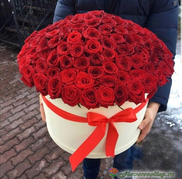 101 роза в шляпной коробке
