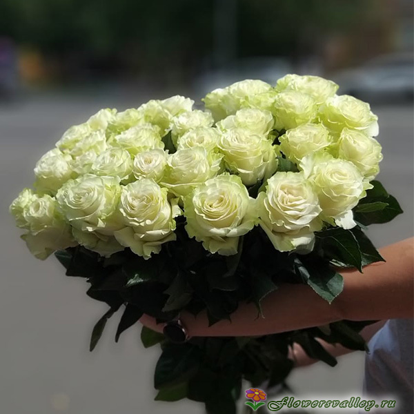 Букет из 35 роз Эквадор мондиаль