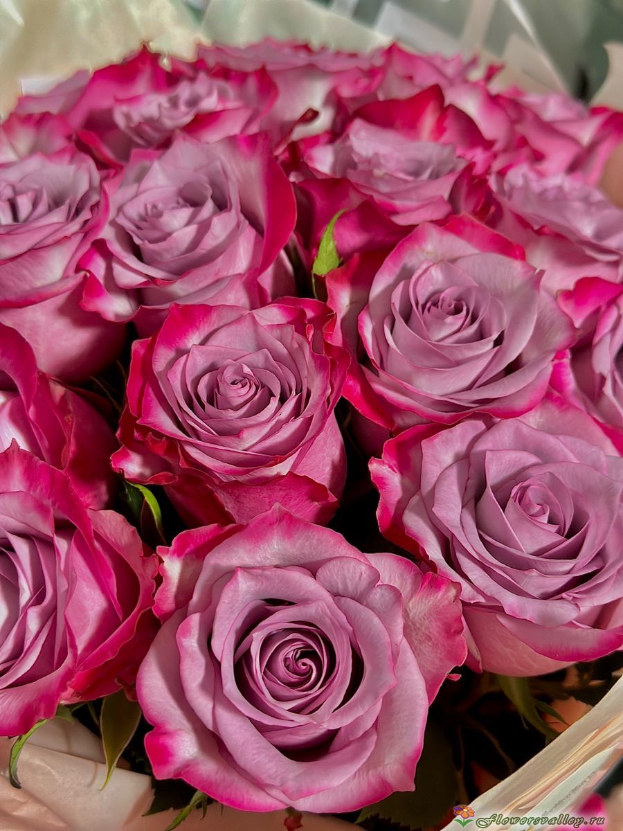 Букет сиреневых роз, сорт "Deep Purple"