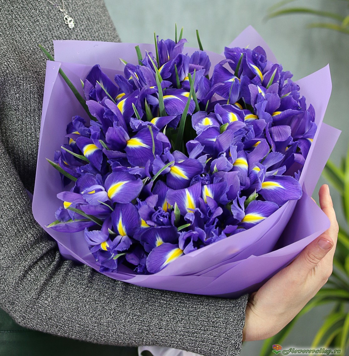 Букет из 25 ирисов