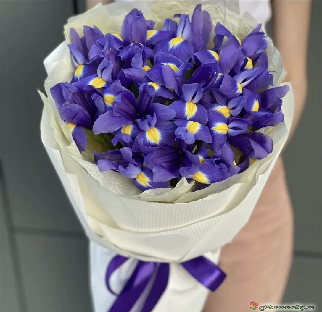 Букет из 15 ирисов