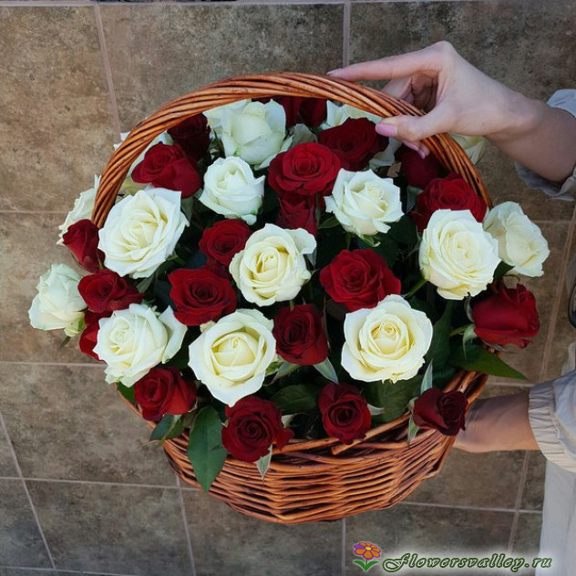 Белая и красная роза в корзинке 25 шт.