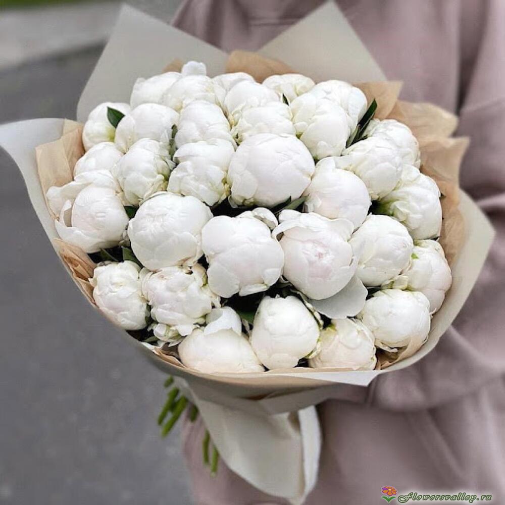 25 белых пионов