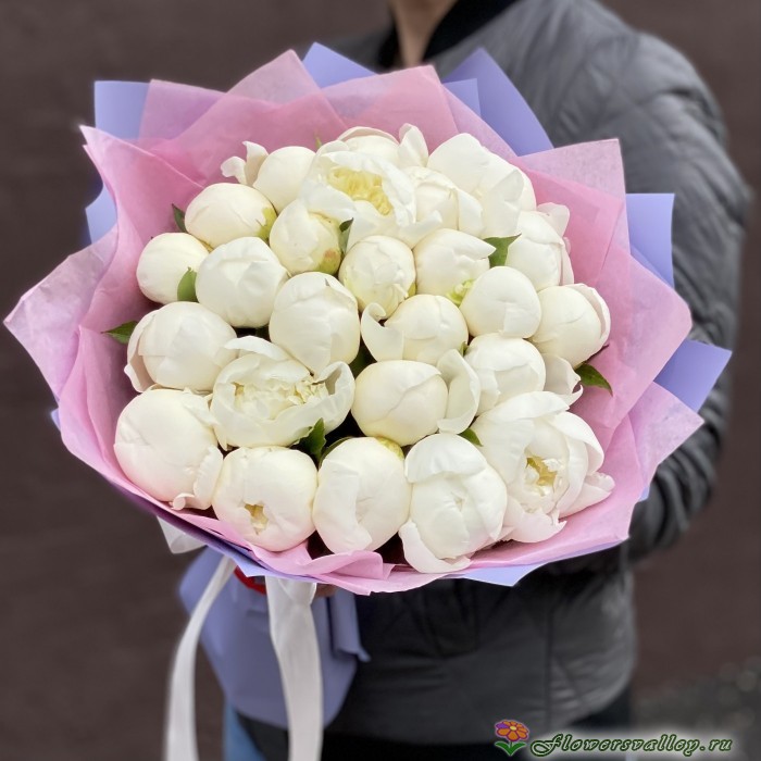 25 белых пионов