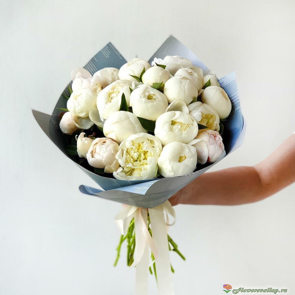 25 белых пионов