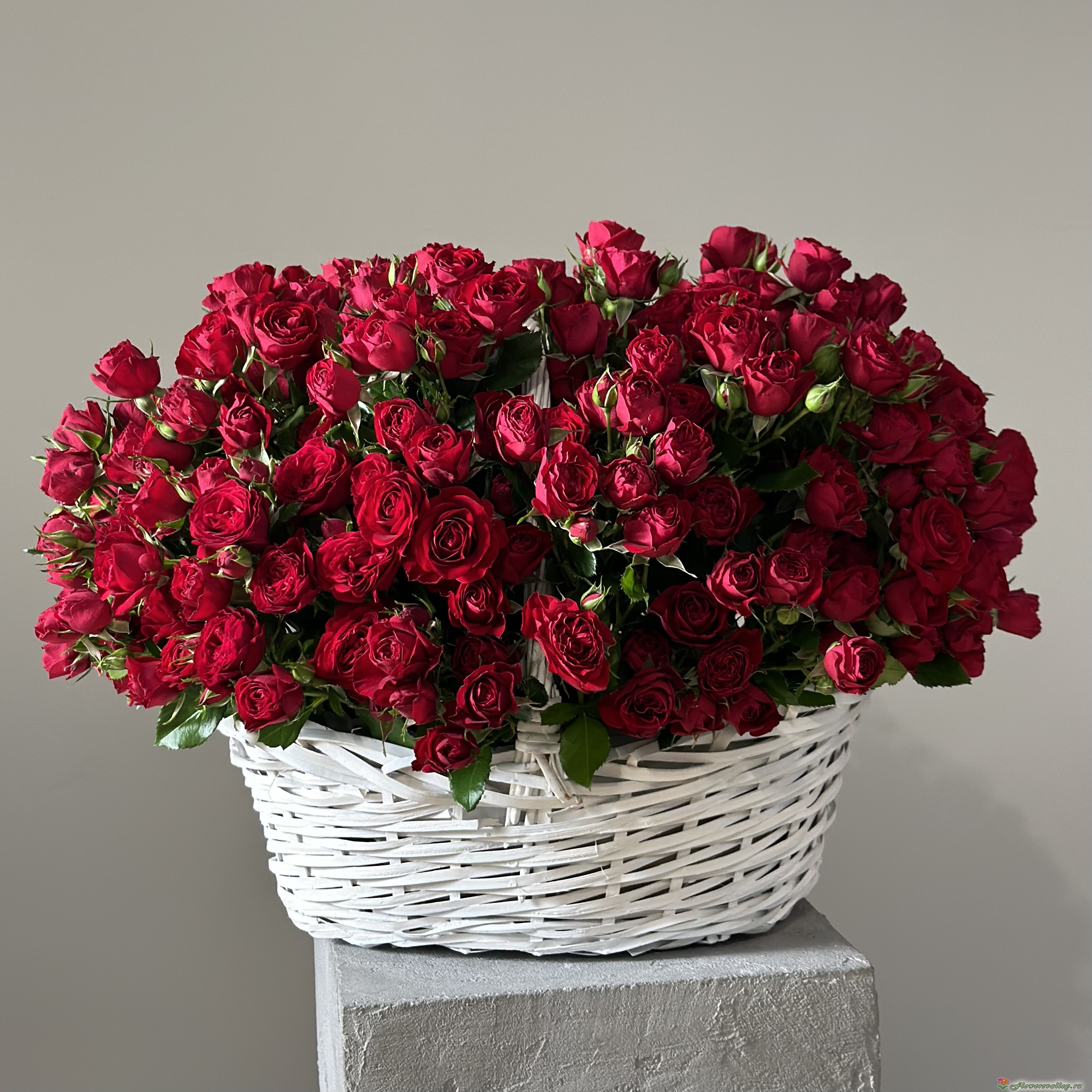 корзина из 51 кустовой розы