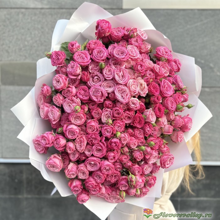 51 пионовидная роза