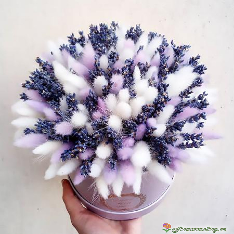 Композиция с лавандой и лагурусом