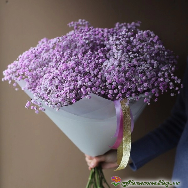 Букет из гипсофилы
