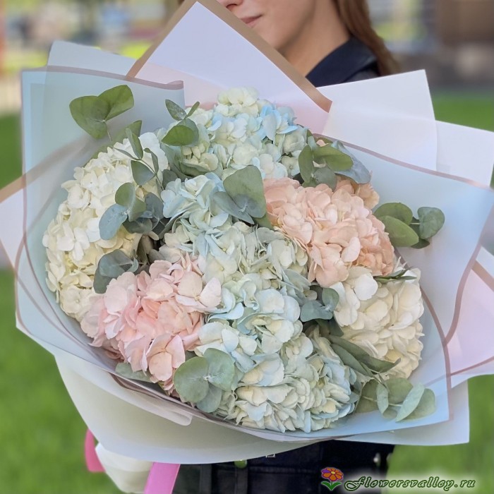 Букет из разноцветных гортензий, 7 шт.