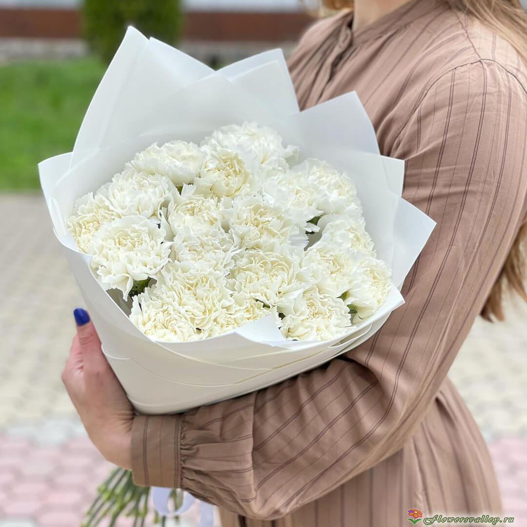 Букет из 25 белых гвоздик