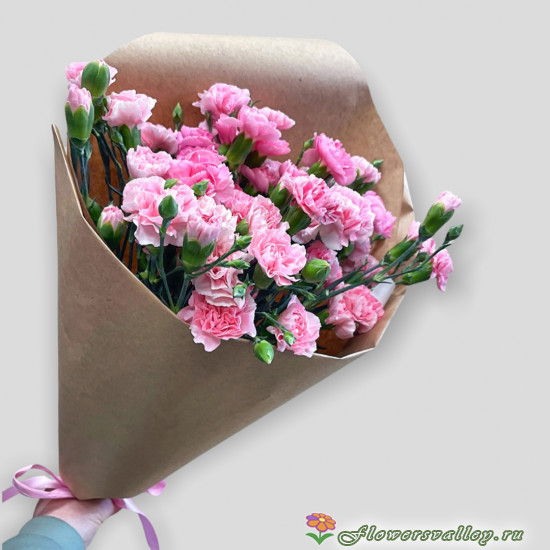 Букет из 11 кустовых гвоздик