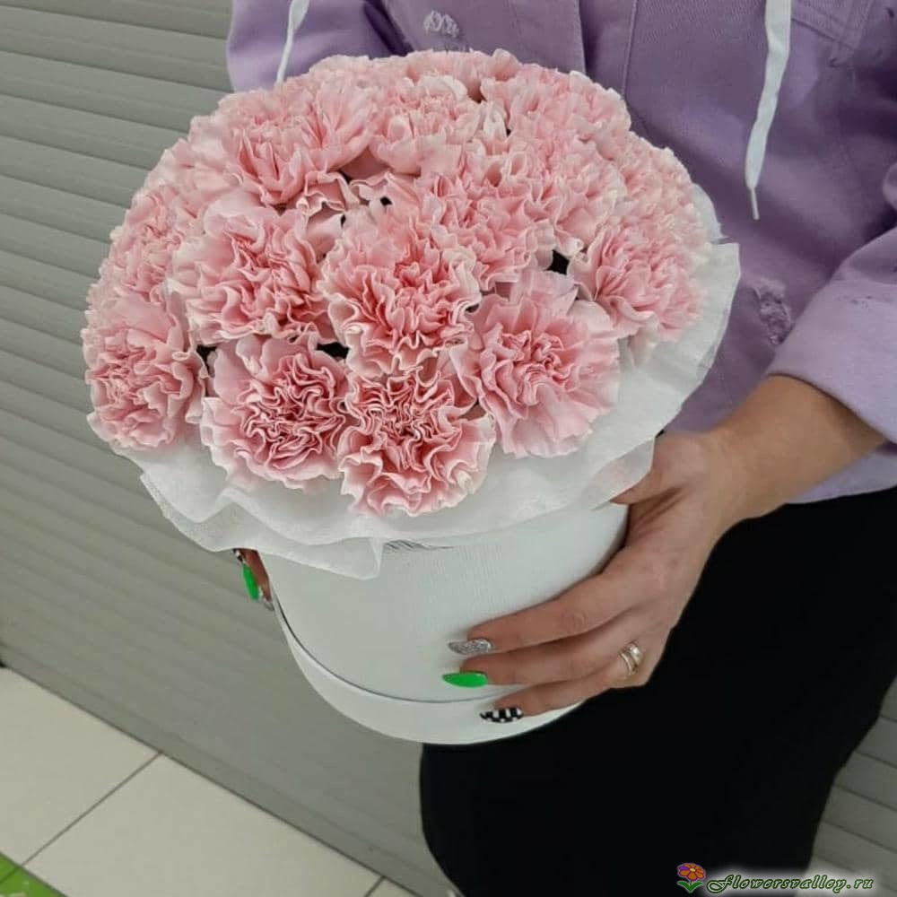 Шляпная коробка с розовой гвоздикой, 15 шт.
