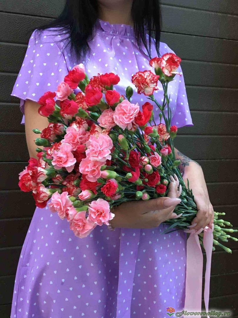 Букет разноцветных гвоздик, 15 шт